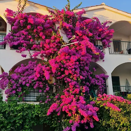 Apartman Plavica