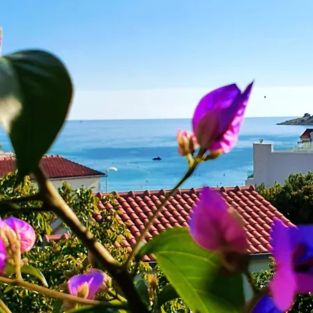 Plavica Apartament Zečevo