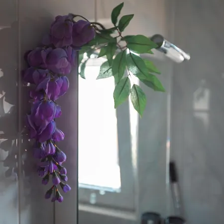 Apartman Plavica Zecevo