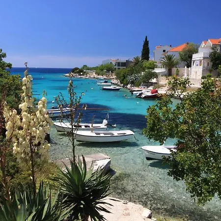Plavica