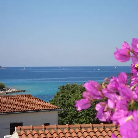 Apartament Plavica *