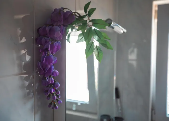 Appartement Plavica Zečevo